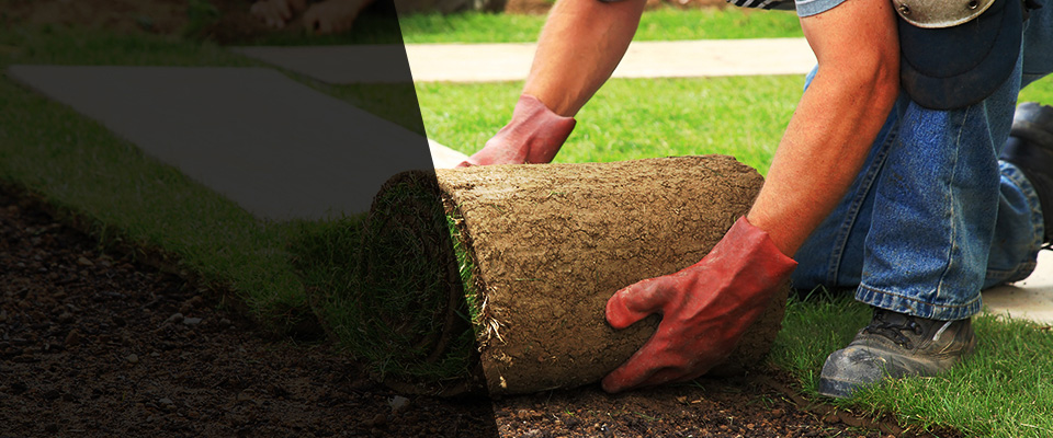 Bartlett Landscapers